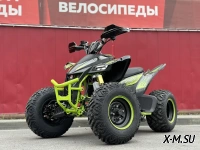 Квадроцикл PROMAX RAPTOR 300 AIR Monster