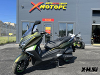 Максискутер ARIIC 318