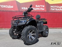 Квадроцикл PROMAX TRX300 CVT