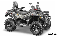 Квадроцикл STELS ATV010 (TE) ГЕПАРД 2.0 K01 EPS GN