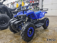 Квадроцикл PROMAX ATV MINI 2T 50CC р/с