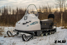 Снегоход БТС АРТИК 4Т 20 л.с. э/зап, реверс, тормоз