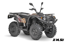 Квадроцикл Striker 400 EFI