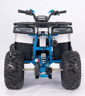 Квадроцикл  YACOTA SIRIUS 110			 			