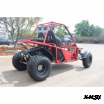 Багги PROMAX Ranger 300