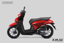 Скутер PROMAX Grand 240(49)