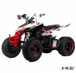 Квадроцикл MOTOLAND (МОТОЛЕНД) 250 RALLY