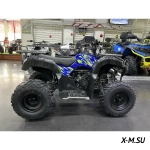 Квадроцикл IRIDE WOLF 200