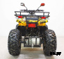 Квадроцикл GreenCamel Сахара A3000 (72V 3000W R12 alum Дифференциал)