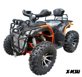 Квадроцикл Grizzly 300 (4WD)